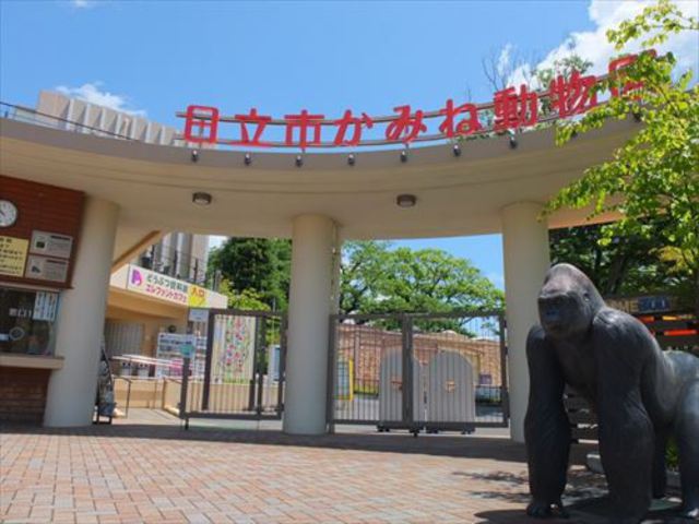 日立市かみね動物園 | 筑波山周辺 オススメ観光スポット | 筑波山！ハンバーガー・おせんべい・火鉢  カフェ日升庵｜筑波山の中腹、大鳥居の側にある火鉢でお煎餅が焼けるカフェ。ランチには特製バンズのハンバーガー！